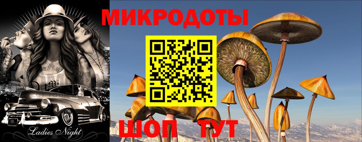 Галлюциногенные грибы GOLDEN TEACHER Киржач