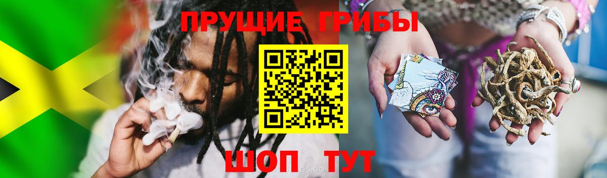 Киржач  Псилоцибиновые грибы Cubensis  Вход с VPN  Псилоцибиновые грибы Cubensis 